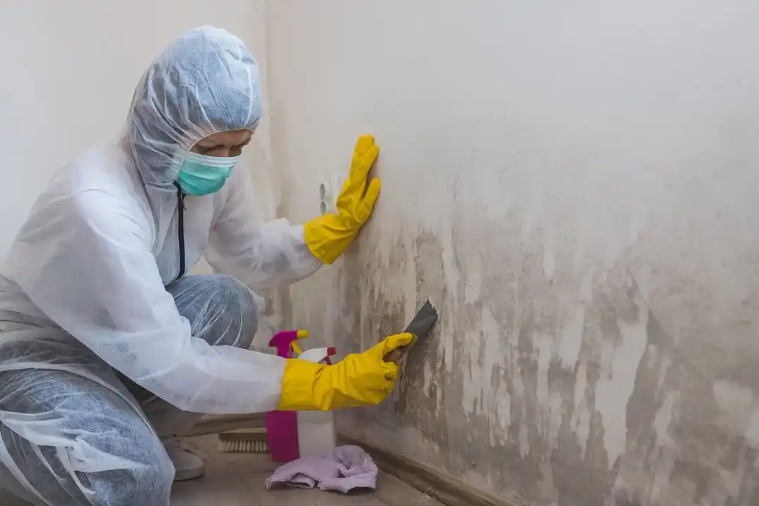 water damage restoration service Cliff-Cannon